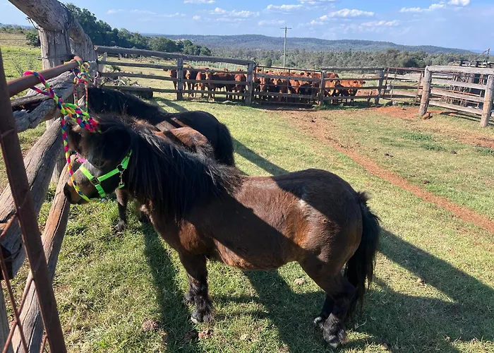 Country Charm On Acreage